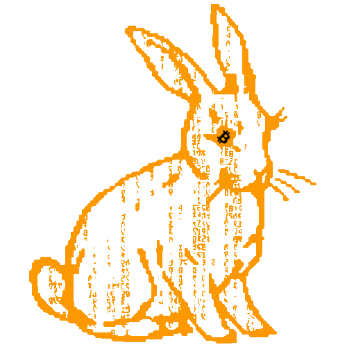 Animated orange rabbit filled with Bitcoin symbols